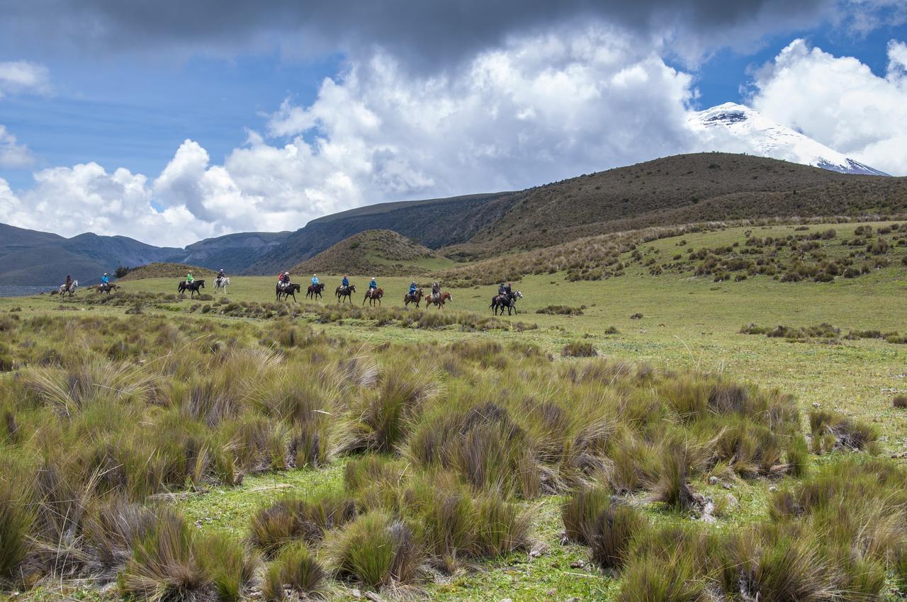 Hotel Tambopaxi Machachi Exterior foto